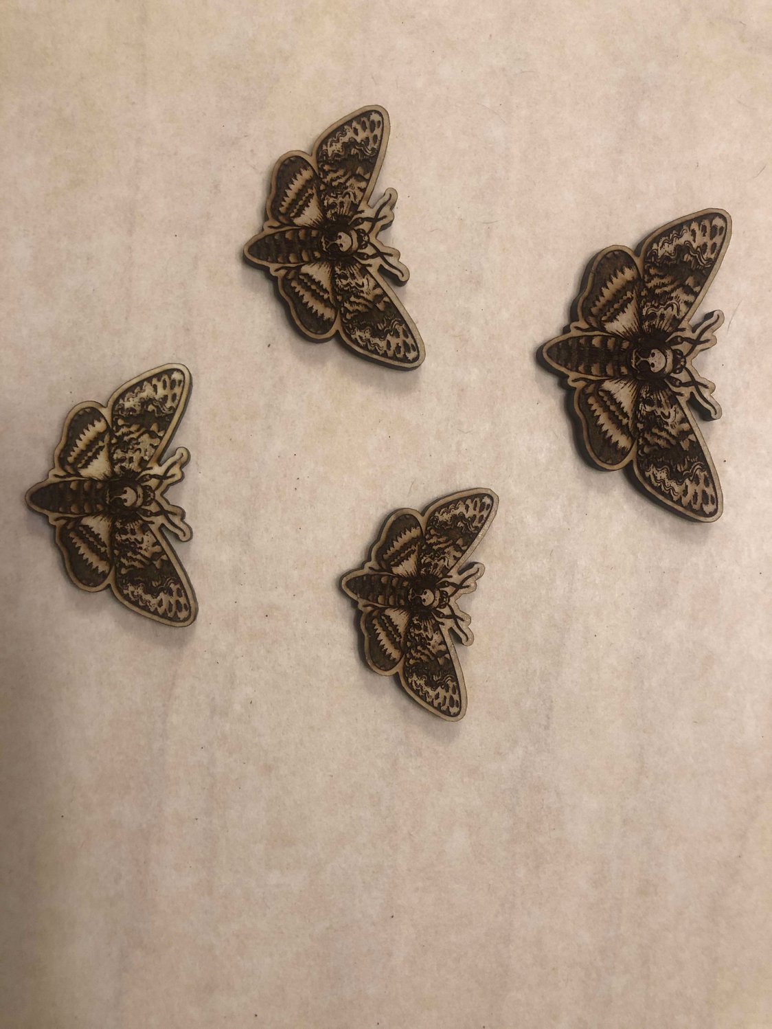 Cedar Closet Moths - Get rid of pesky moths eating at your clothes!