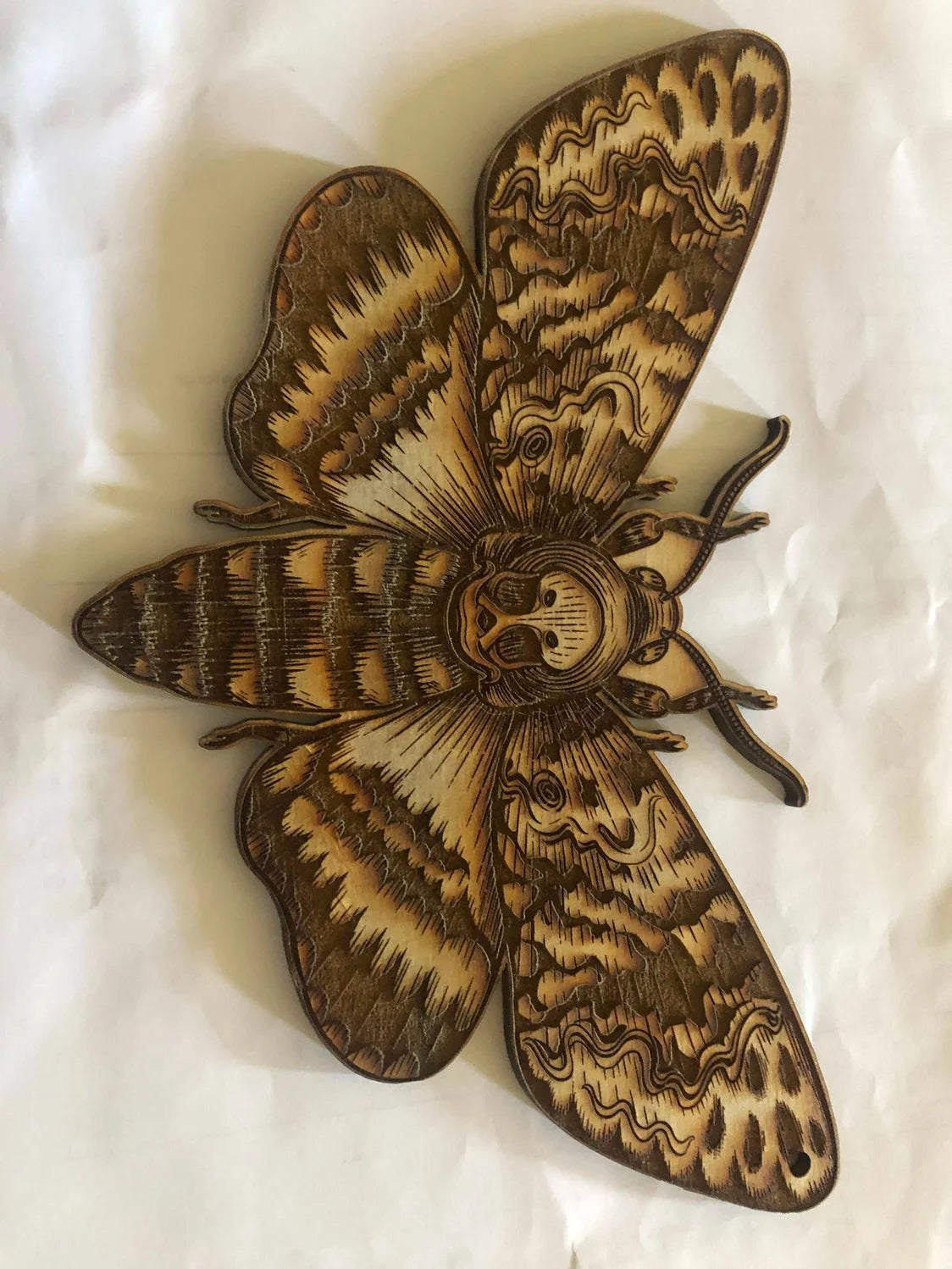 Cedar Closet Moths - Get rid of pesky moths eating at your clothes!